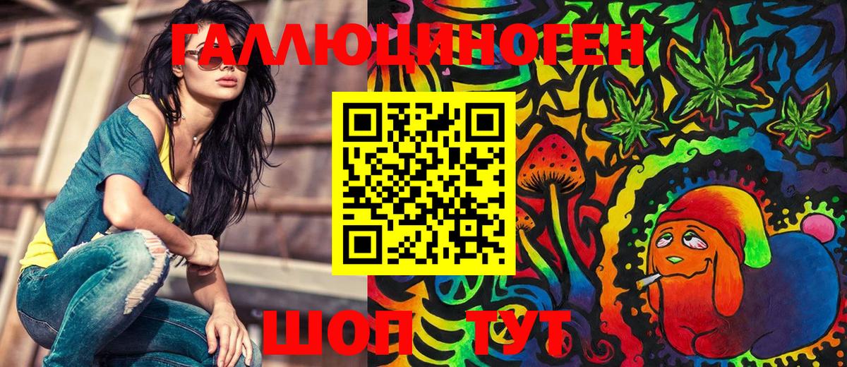 Галлюциногенные грибы Psilocybe Димитровград