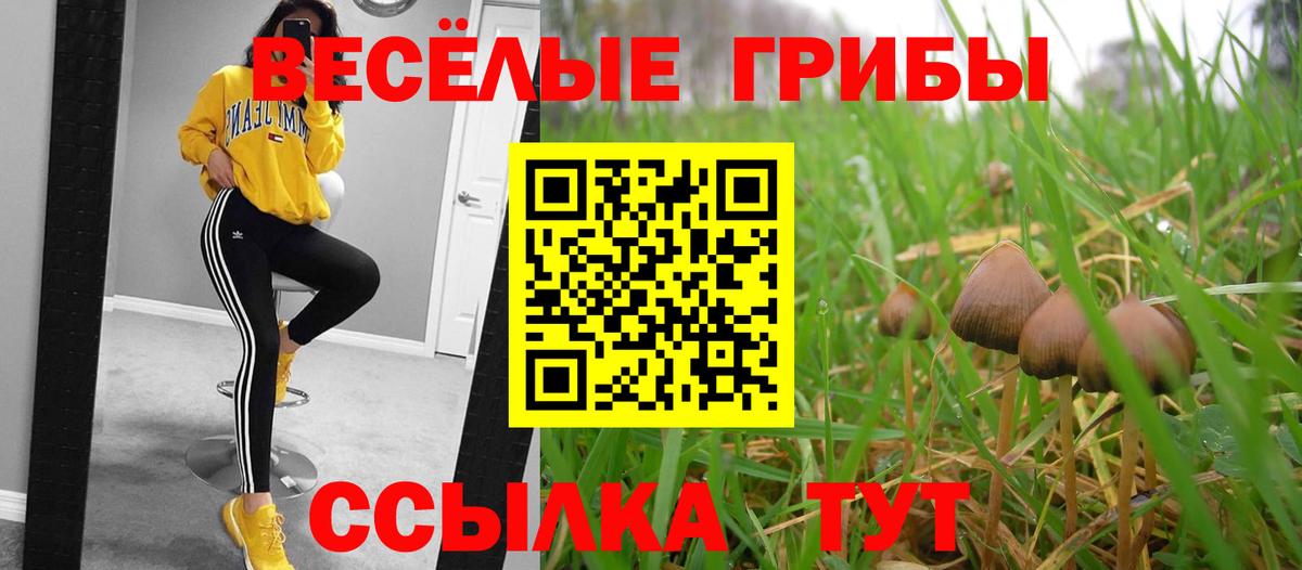 Галлюциногенные грибы Cubensis  Вход с VPN  Димитровград 